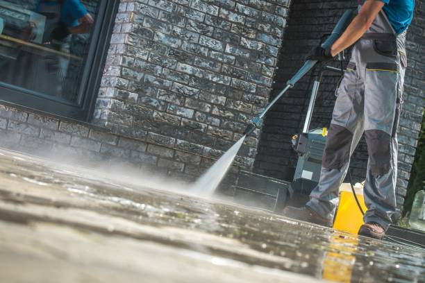 Best Animal Enclosure Cleaning  in Galena, IL