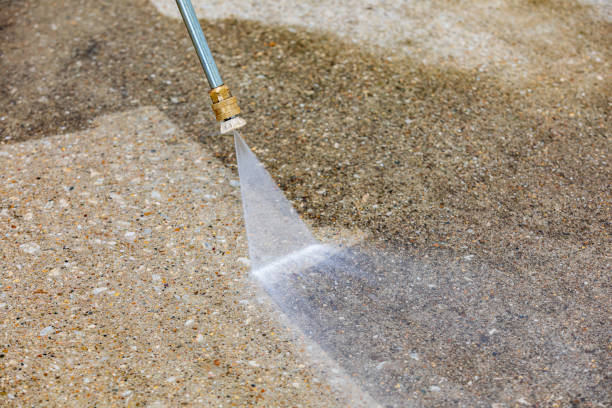Best Sidewalk and Walkway Cleaning  in Galena, IL