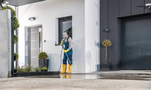 Best Soft Washing  in Galena, IL